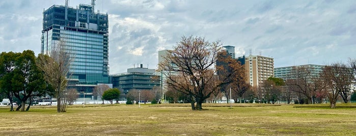 難波宮史跡公園 is one of สถานที่ที่ Martin ถูกใจ.