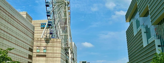 Miramar Ferris Wheel is one of outdoors.