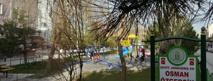 Osman Özgerçik Parkı is one of Bireysel Ağaçlandırma / Eskişehir.