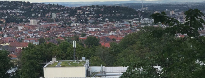 Rotwildpark is one of Ludi's Stuttgart.