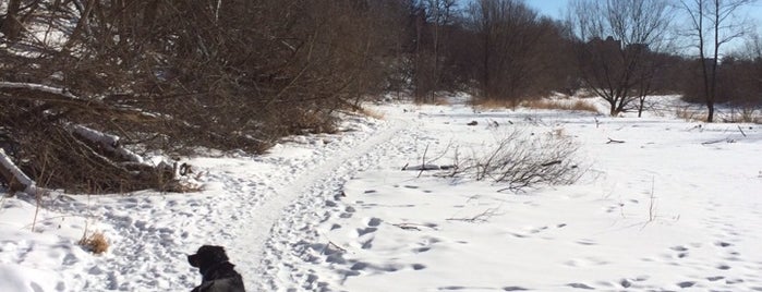 East Bank Mountain Bike Trail is one of Shyloh'un Beğendiği Mekanlar.