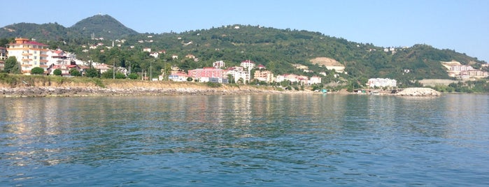 Ayvasıl is one of Orte, die Emre gefallen.