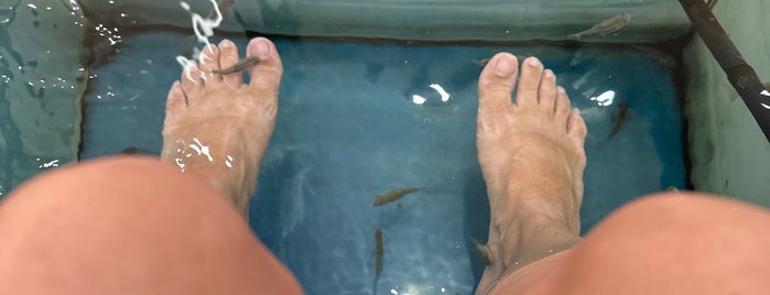 Doctor Fish is one of Ameer’s Liked Places.