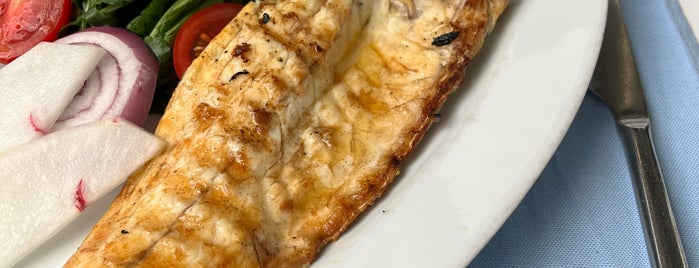 Balıkçı Gemisi is one of Antalya Food.