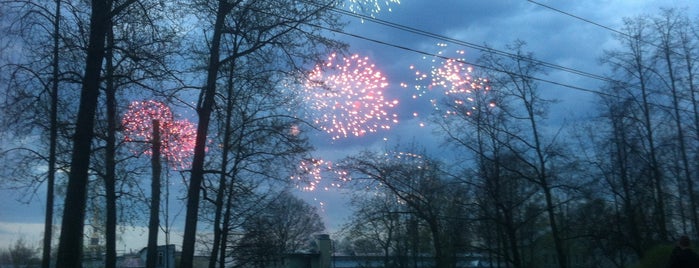 Alexander Park is one of St Petersburg.