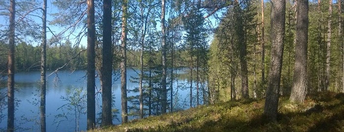 Käärmesärkkä is one of Hiidenportin kansallispuisto.