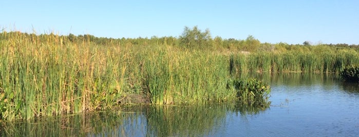 Lake Waco Wetlands is one of Yuri's Night Parties 2012.