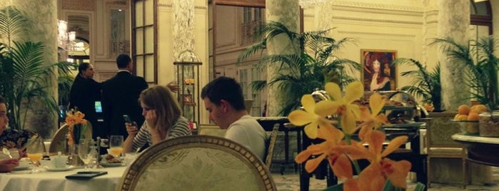 The Palm Court at The Plaza is one of Restaurants.