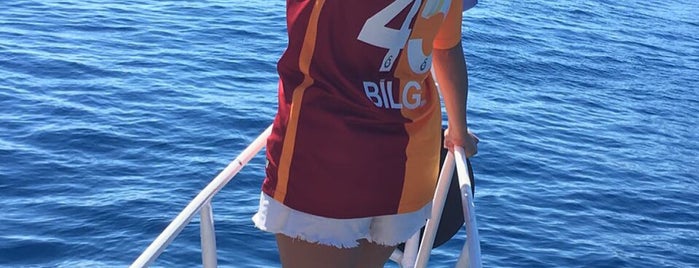 North Star Dalış Teknesi is one of doğa sporları.