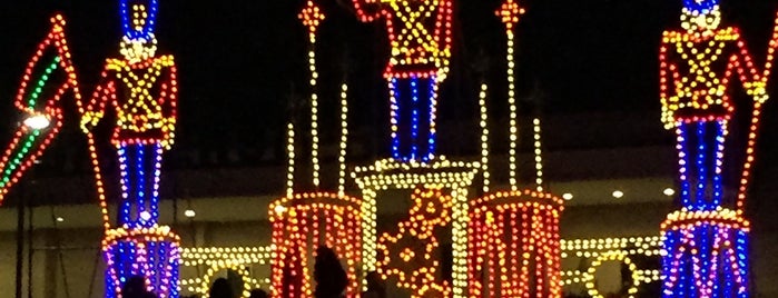 Lights of LIFE is one of Christmas Light Shows.