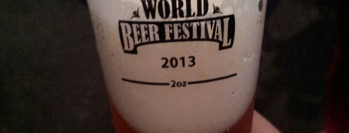 Durham Beer Fest 2013 is one of Places I enjoy.