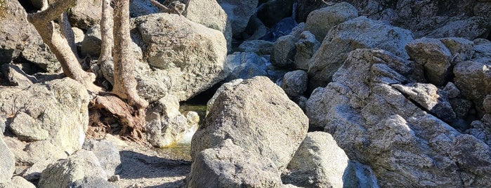 Ohlone Regional Wilderness is one of East Bay to-do.