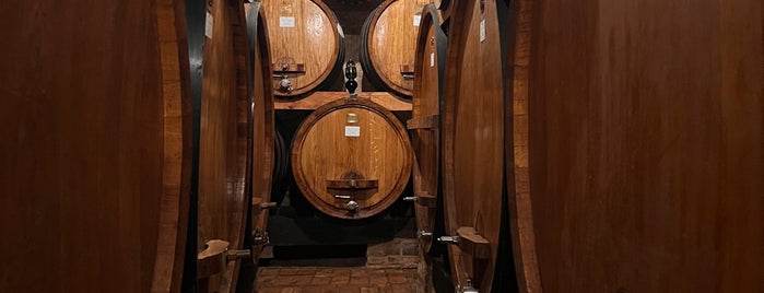 Cantina Contucci is one of Tuscany.