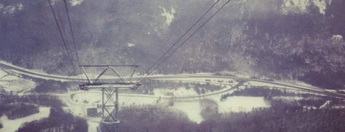 Cannon Mountain Ski Area is one of สถานที่ที่ eric ถูกใจ.
