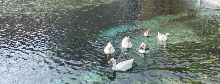 Gökpınar Gölü Doğal Yaşam Parkı is one of Mekanlar.