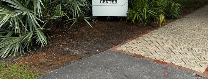 Georgia Sea Turtle Center is one of St simons island.