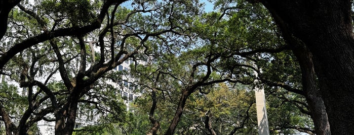 Johnson Square is one of Must-visit Great Outdoors in Savannah.