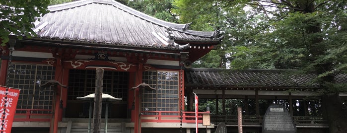 瑠璃光寺 is one of 武蔵国十三仏霊場.