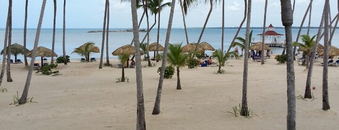 Grand Bahia Principe La Romana is one of สถานที่ที่ Тимур ถูกใจ.
