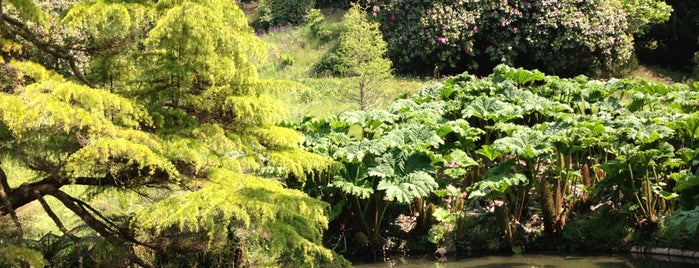 Glendurgan Garden (NT) is one of Around UK.