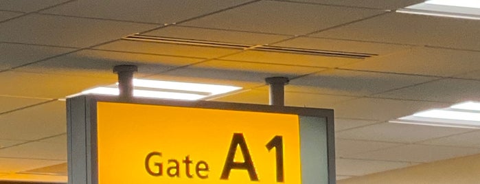 Gate A2 is one of Lugares favoritos de Tammy.