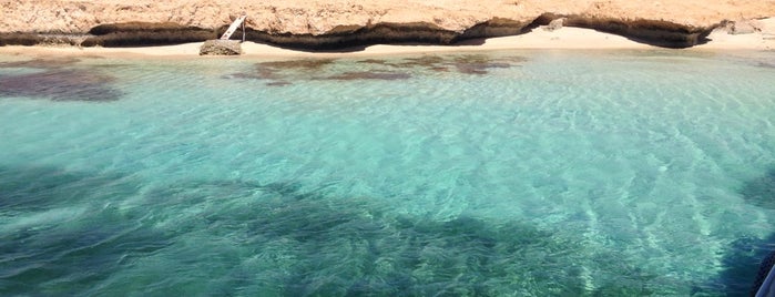 Giftun Island is one of Hurghada islands excursions.