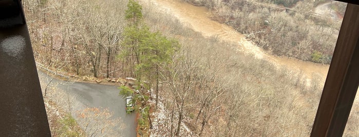 Bridge Walk is one of Field trip parks.