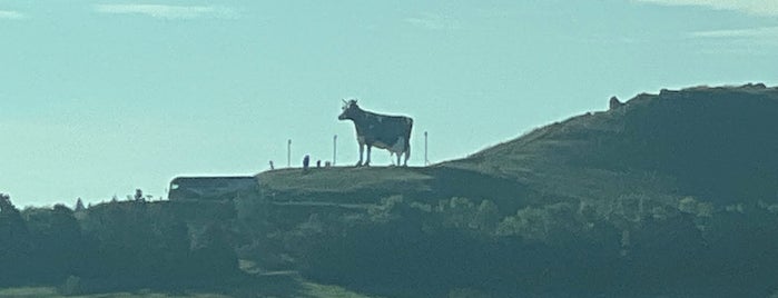 Salem Sue - World's Largest Holstein Cow is one of Fargo, ND Living.