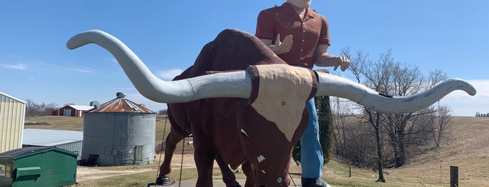 Village Cowboy & Bull is one of Roadside Men of the US.