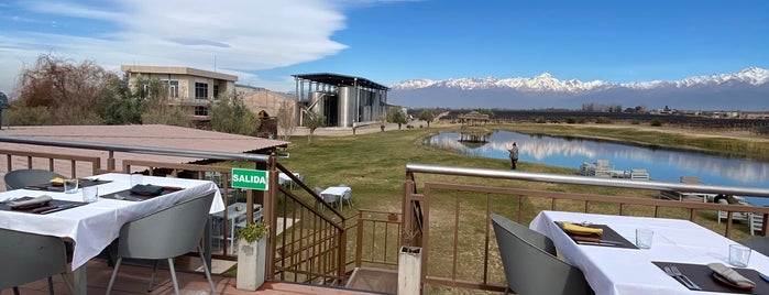 Domaine Jean Bousquet is one of Mendoza Wineries.