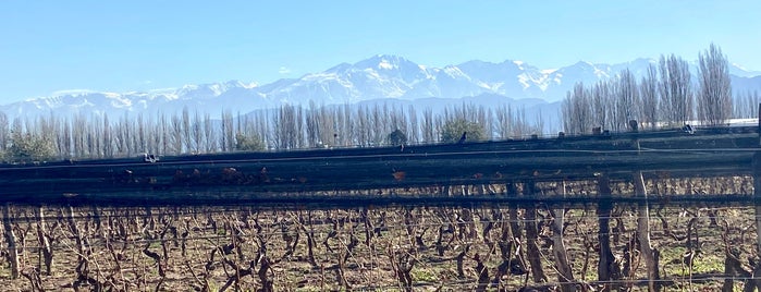 Bodega Renacer is one of Experience Mendoza.