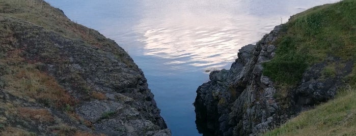 Скалите с Делфините is one of Lugares favoritos de Robert.