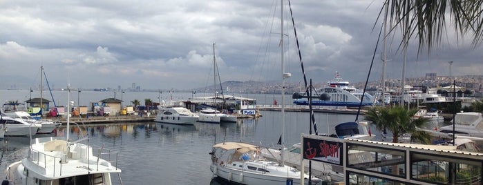 Port Lounge is one of Lugares favoritos de Murat.
