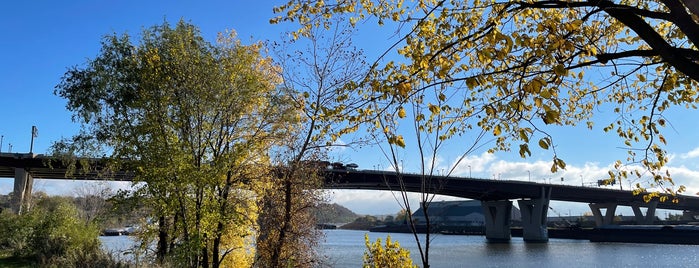 Lafayette Bridge is one of Frequent Flyer Miles.