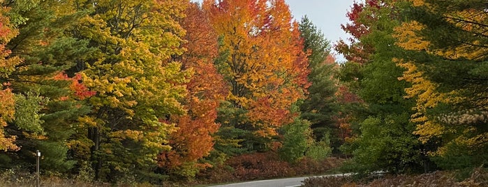 Hartwick Pines State Park is one of Traverse City.