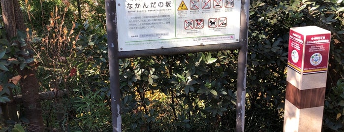 成城三丁目なかんだの坂市民緑地 is one of 公園.