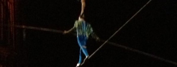 La Nouba by Cirque du Soleil is one of Top favorites places.