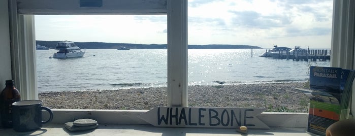 Whalebone Creative is one of MTK.