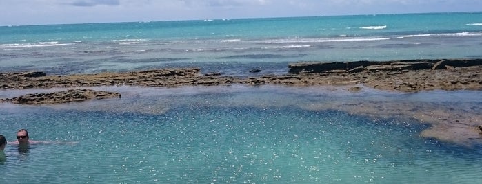 Piscinas Naturais da Praia dos Carneiros is one of Tempat yang Disukai Ângela.