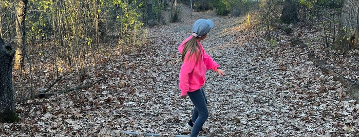 Alimagnet Disc Golf Course is one of Twin Cities Disc Golf Courses.