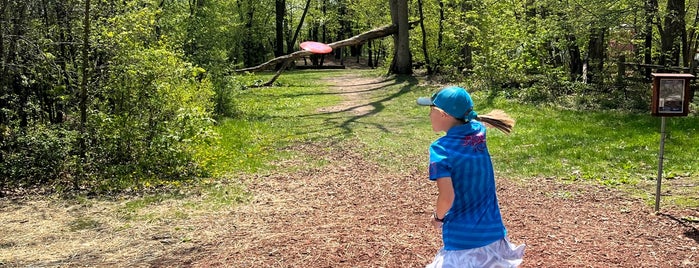Blue Ribbon Pines Disc Golf Club is one of Twin Cities Disc Golf Courses.