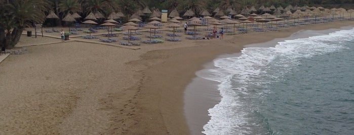 Vai Beach is one of Beaches in Crete.