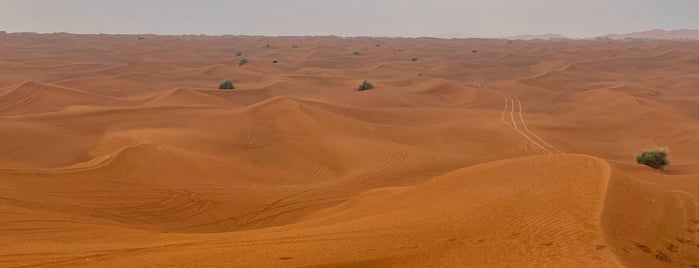 Dubai Desert is one of SVP #01 Dubai / Abu Dhabi 2017.