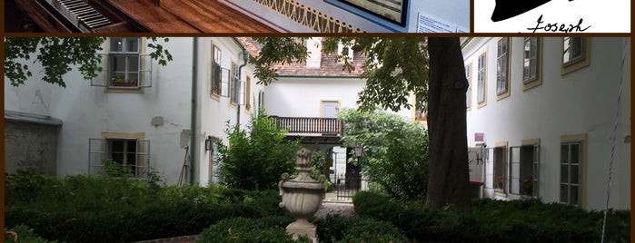 Haydnhaus Museum is one of 83 : понравившиеся места.