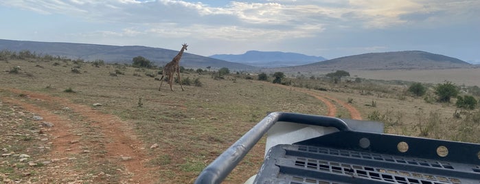 Maasai Mara National Reserve is one of Aaron'un Beğendiği Mekanlar.
