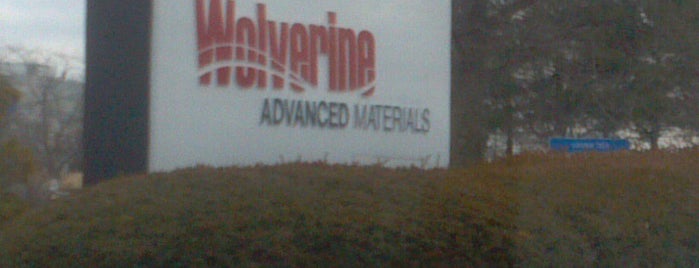 Wolverine Advanced Materials, LLC is one of Placing I go to Alot.