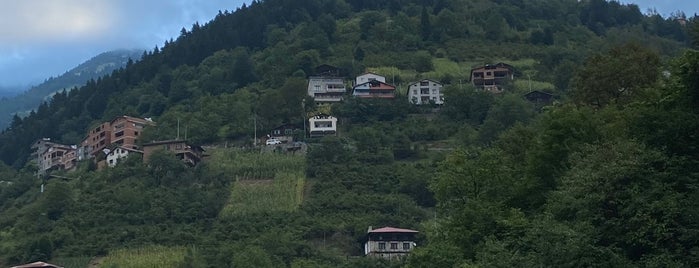 Golden Inn Hotel Uzungöl is one of Trabzon.