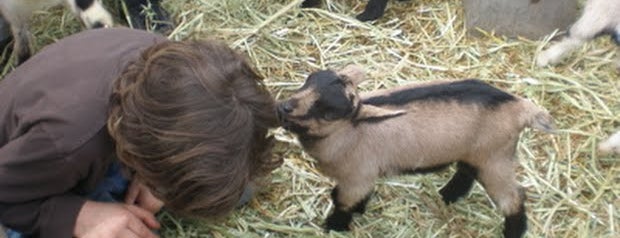 Harley Farms is one of South Bay: To Do.