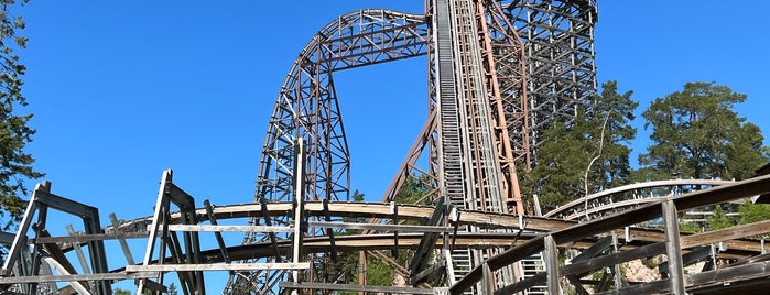 Wildfire is one of Wooden Roller Coasters.