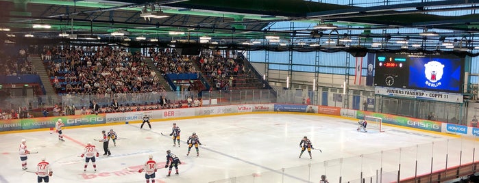 Wellblechpalast is one of Eishockey Deutschland.